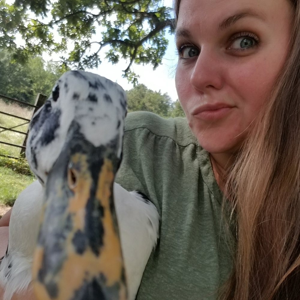 Meet your Posher, Melissa